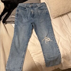 Express 90’s cropped straight jean